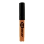 Coverup Liquid Concealer | Line Smooth, Skin Flawless, Natural Finish and Long Lasting, 11g | Shade 02