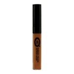 Coverup Liquid Concealer | Line Smooth, Skin Flawless, Natural Finish and Long Lasting, 11g | Shade 05