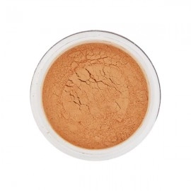 Oil Free Translucent Powder | Super Smooth Loose Powder | 15g | Shade 02 ( Medium Skin Tone )