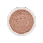 Oil Free Translucent Powder | Super Smooth Loose Powder | 15g | Shade 03 ( Medium Skin Tone )