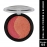 Dual Face Powder and Blusher | Ultra-Blindable, Long-Lasting | Shade 05