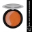 Dual Face Powder and Blusher | Ultra-Blindable, Long-Lasting | Shade 10