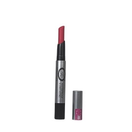 Colorful Non Transfer Lipstick | 2g | SH306