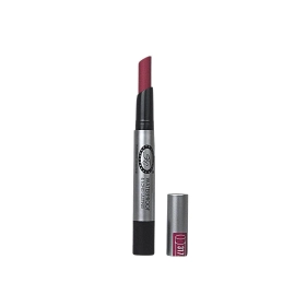 Colorful Non Transfer Lipstick | 2g | SH317