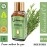 Urbaano Herbal Cypress Essential Oil for Aroma & Skincare | 20ml