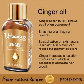 Urbaano Herbal Ginger & Cedarwood Essential Oil | 20 ml Each For Hair, Skin & Aromatherapy | 100% Undiluted  Therapeutic Grade