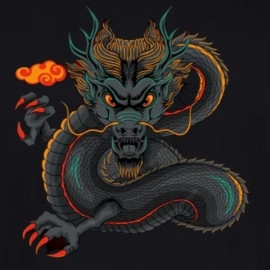 ZollarX | Dangerous Dragon Printed Cotton T-Shirt | Black