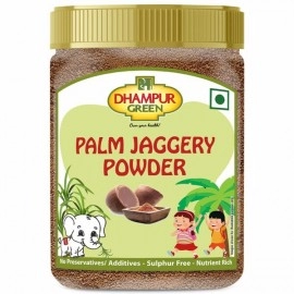 Dhampur Green| Palm Jaggery Powder 250g (Pack of 2)