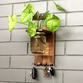 Barish Handcrafted Decor Wall Key Holder Jar Planter | Wall Mount Wooden Key Holder for Home Decor | Walnut