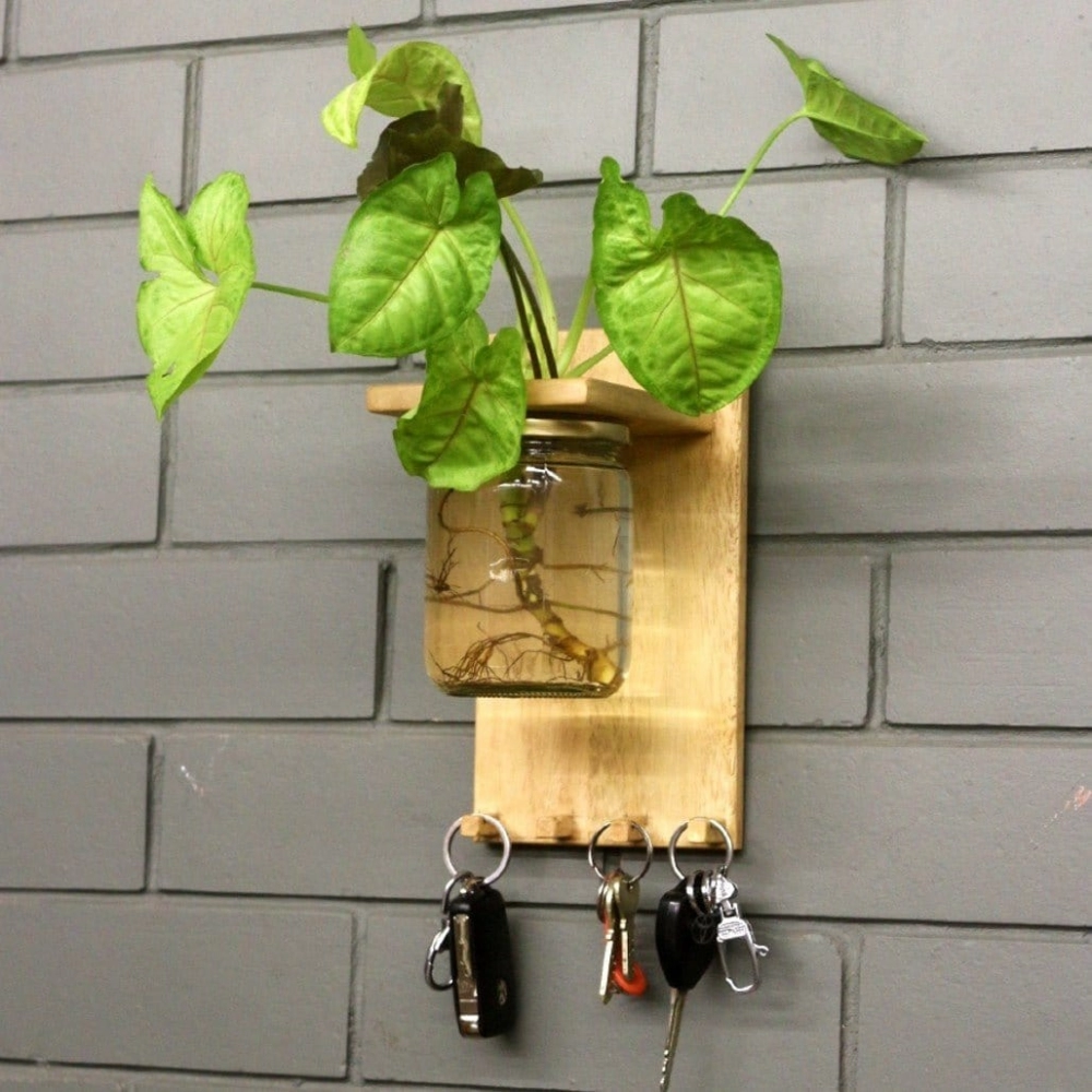 Barish Handcrafted Decor Wall Key Holder Jar Planter | Wall Mount Wooden Key Holder for Home Decor | Rubberwood