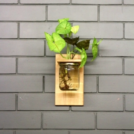 Barish Handcrafted Decor Wall Mounted Planter | Single Jar | Rubberwood