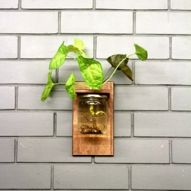 Barish Handcrafted Decor Wall Mounted Planter | Single Jar | Walnut