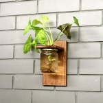 Barish Handcrafted Decor Wall Mounted Planter | Single Jar | Walnut