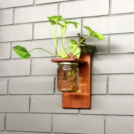 Barish Handcrafted Decor Wall Mounted Planter | Single Jar | Firewood