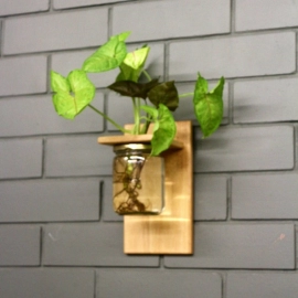 Barish Handcrafted Decor Wall Mounted Planter | Single Jar | Rubberwood