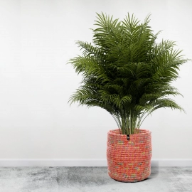 Happy Cultures | Coral Cloth Planter | Handcrafted | 14 x 12 Inch