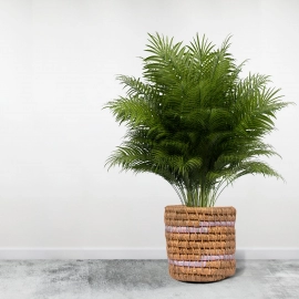 Happy Cultures | Eco Designer Jute Planter | Handcrafted | 6 x 6 Inch