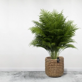 Happy Cultures | Eco Jute Planter | 10 x 6.5 Inch