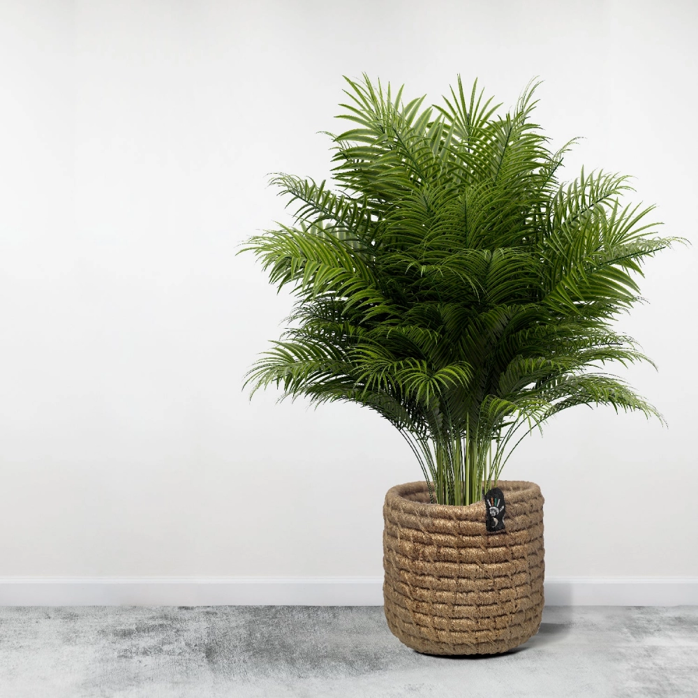 Happy Cultures | Eco Jute Planter | 6 x 6 Inch