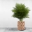 Happy Cultures | Eco Macrame Jute Planter | 8 x 8 Inch
