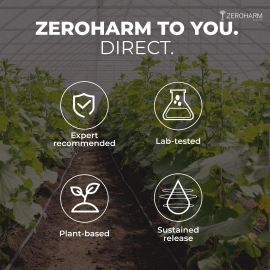 Zeroharm | Gut Army Probiotics For Immunity | With Zinc + Vitamin C Veg Capsules | 3 Pack