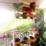 Barish Handcrafted Decor Hanging Planter Frame | Double | Rubberwood