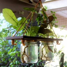 Barish Handcrafted Decor Hanging Planter | Set of 2 Mason Jar | Walnut