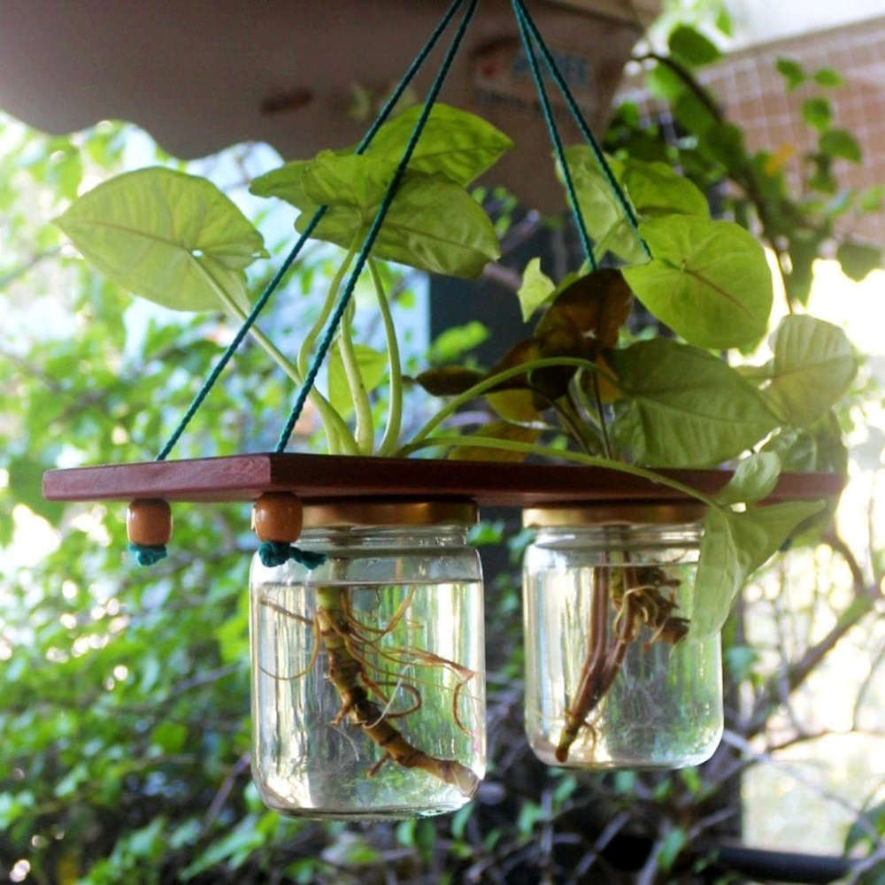 Barish Handcrafted Decor Hanging Planter | Set of 2 Mason Jar | Firewood