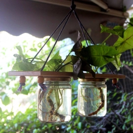 Barish Handcrafted Decor Hanging Planter | Set of 2 Mason Jar | Rubberwood