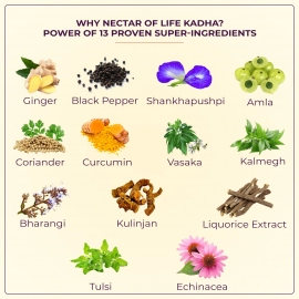 Jivisa| Instant Herbal Immunity Infusion