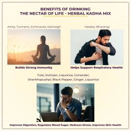 Jivisa| Instant Herbal Immunity Infusion