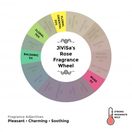 Jivisa | Himalayan Rose Premium Soy Wax Candle 