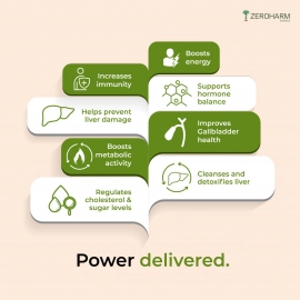 Holo Liver Detox | Liver Cleanse & Detox Supplements | 60 Tablets | 2 Pack