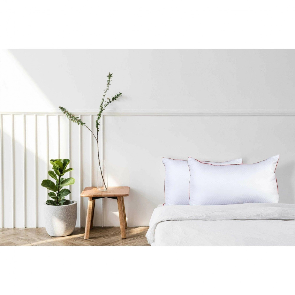 Sleepcosee |  Snow Flake Micro Fibre Pillow | Pair