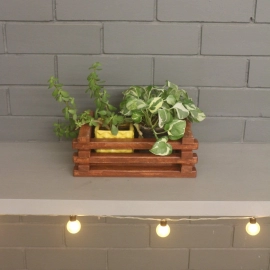 Barish Handcrafted Decor Table Top Planter | Small Crate | Firewood