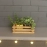 Barish Handcrafted Decor Table Top Planter | Small Crate | Rubberwood