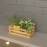 Barish Handcrafted Decor Table Top Planter | Small Crate | Rubberwood