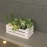 Barish Handcrafted Decor Table Top Planter | Small Crate | White