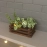 Barish Handcrafted Decor Table Top Planter | Small Crate | Walnut