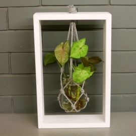 Barish Handcrafted Decor Table Top Planter Wooden Frame | Single | White