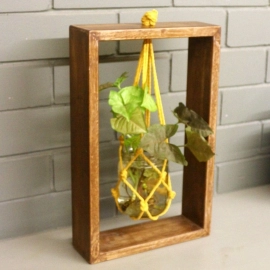 Barish Handcrafted Decor Table Top Planter Wooden Frame | Single | Walnut