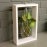 Barish Handcrafted Decor Table Top Planter Wooden Frame | Single | White