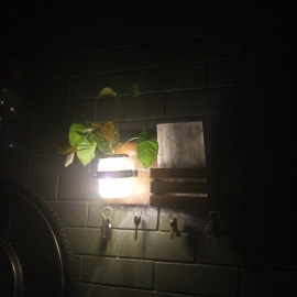 Barish Handcrafted Decor Wall Key Holder Jar Planter With Light | Walnut