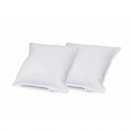 Sleepcosee | White Cushion & Fillers |  Pair