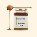 Praakritik Organic Wild Forest Honey | 200ml (Pack of 2)