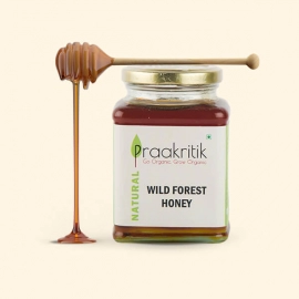 Praakritik Organic Wild Forest Honey | 500 ml