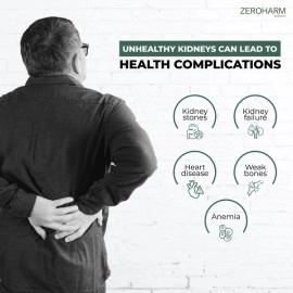 Zeroharm | Holo Kidney Detox Tablets | Plant Based Kidney Supplement | Natural Kidney Detox Supplement for Men and Women | 60 Veg